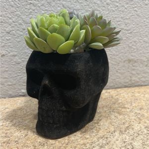 Black velvet artificial house plant